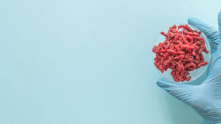 ল্যাবে তৈরি মাংসের একটি প্লেট