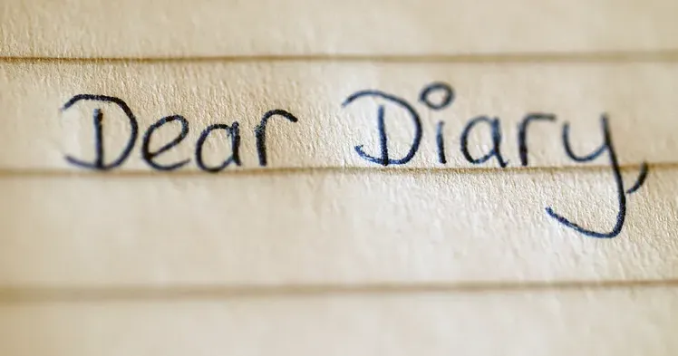 দুই বাক্যের ডায়েরি